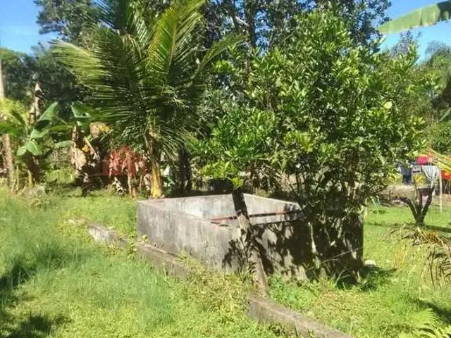 Sítio e chácara venda em Região Imediata de Taubaté-Pindamonhangaba, Região Metropolitana do Vale do Paraíba e Litoral Norte
