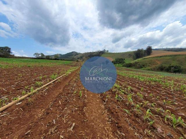 Sítio e chácara venda em Região Imediata de Bragança Paulista, Pinhalzinho