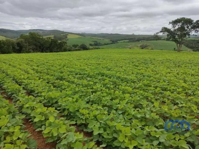 Sítio e chácara venda em Região Imediata de Sorocaba, Região Metropolitana de Sorocaba