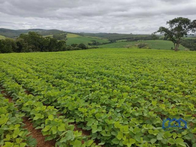 Sítio e chácara venda em Jardim Bela Vista, Sorocaba