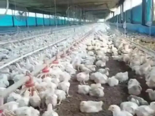 Sítio e chácara venda em Região Imediata de Sorocaba, Região Metropolitana de Sorocaba