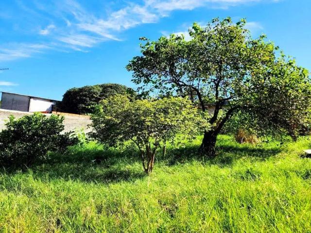 Sítio e chácara venda em Região Imediata de Sorocaba, Região Metropolitana de Sorocaba