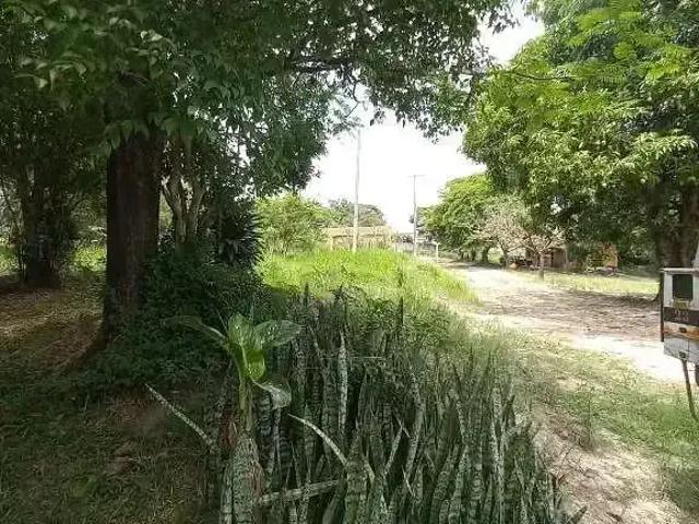 Sítio e chácara venda em Região Imediata de Campinas, Região Metropolitana de Campinas