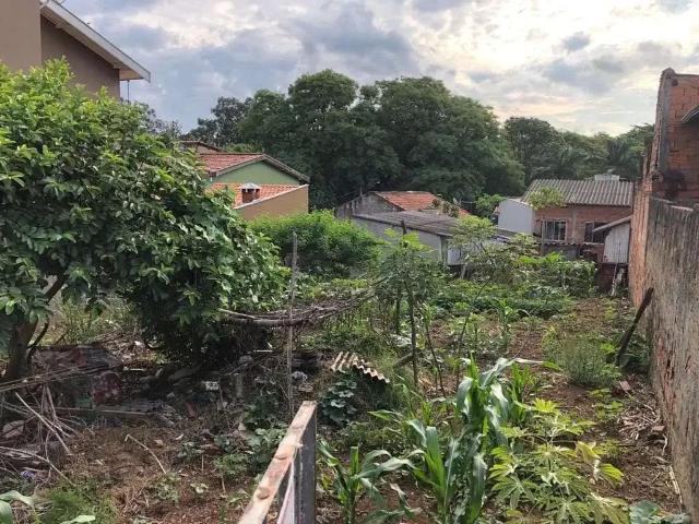 Sítio e chácara venda em Região Imediata de Campinas, Região Metropolitana de Campinas