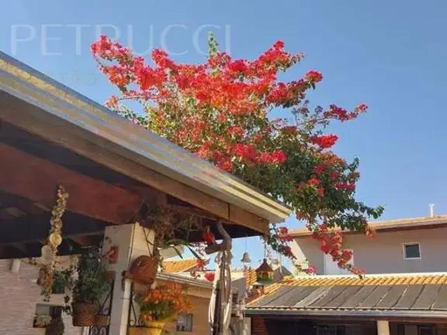 Sítio e chácara venda em Sumaré