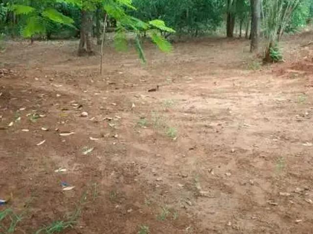 Sítio e chácara venda em Região Imediata de Jales, Suzanápolis