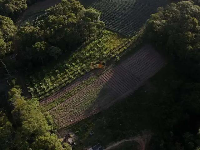 Sítio e chácara venda em Região Imediata de São Paulo, Região Metropolitana de São Paulo