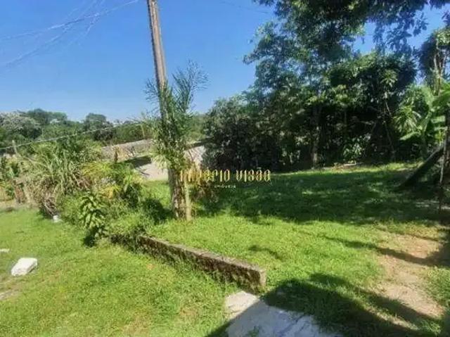 Sítio e chácara venda em Jardim São Bernardino, Suzano