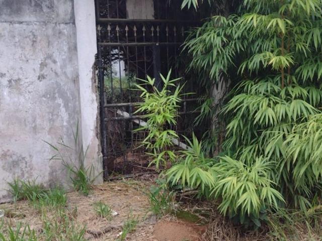 Sítio e chácara venda em Sítio Suíço, Suzano