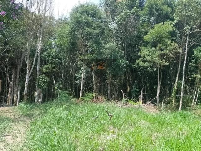 Sítio e chácara venda em Capburgo, Ribeirão Pires