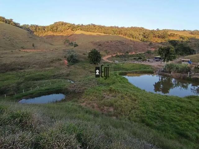 Sítio e chácara venda em Região Geográfica Imediata de Ubá, Tabuleiro
