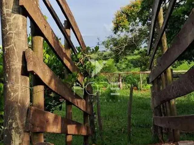 Sítio e chácara venda em Região Imediata de Presidente Prudente, Taciba