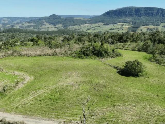 Sítio e chácara venda em Região Geográfica Imediata de Rio do Sul, Taió