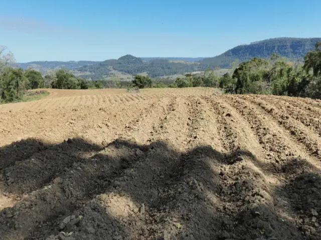 Sítio e chácara venda em Região Geográfica Imediata de Rio do Sul, Taió