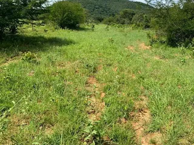 Sítio e chácara venda em Região Geográfica Imediata de Dianópolis, Taipas do Tocantins