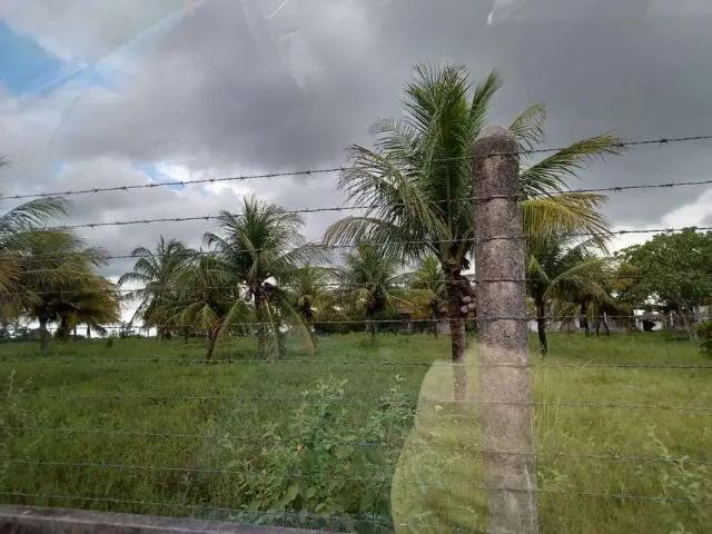 Sítio e chácara venda em Taipu