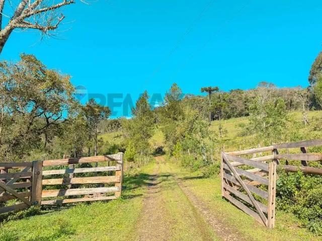 Sítio e chácara venda em Região Geográfica Imediata de Londrina, Tamarana
