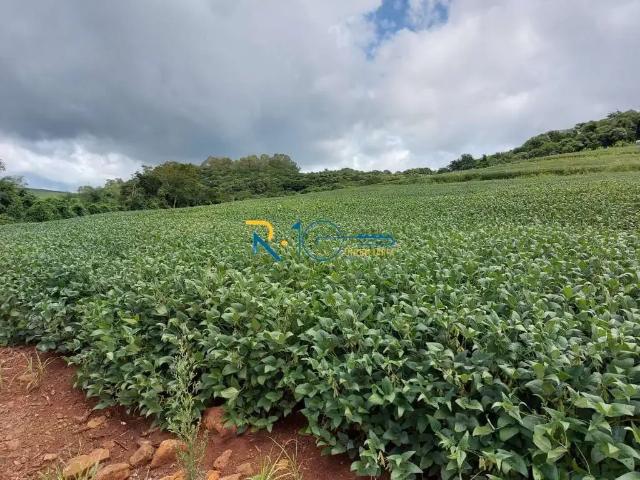 Sítio e chácara venda em Tamarana, Região Geográfica Intermediária de Londrina