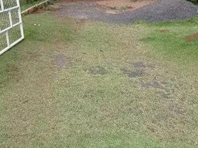 Sítio e chácara venda em Região Geográfica Imediata de Londrina, Tamarana