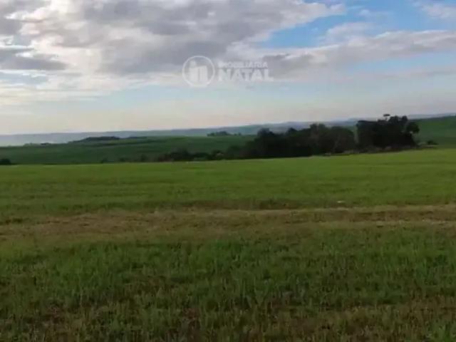 Sítio e chácara venda em Região Geográfica Imediata de Londrina, Tamarana