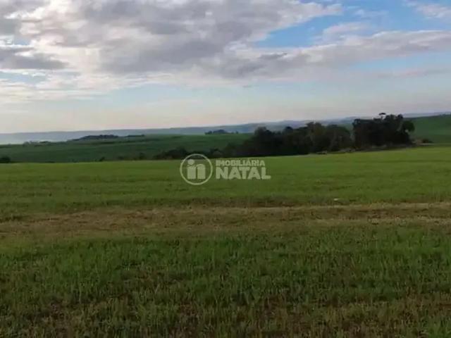 Sítio e chácara venda em Região Geográfica Imediata de Londrina, Tamarana