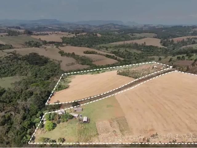 Sítio e chácara venda em Região Geográfica Imediata de Londrina, Tamarana