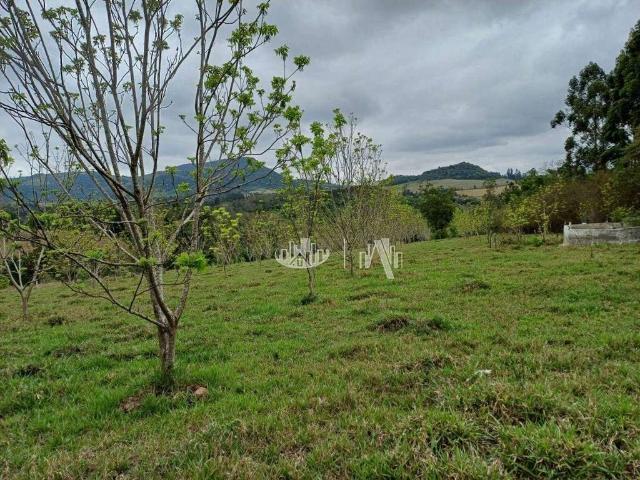 Sitio venda em Tamarana, Santa Helena