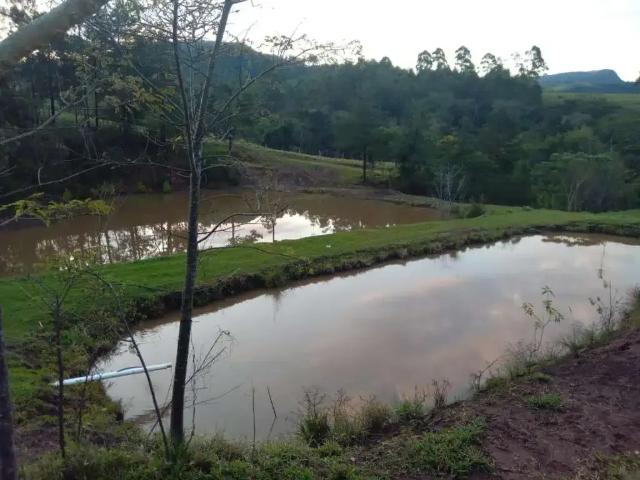 Sítio e chácara venda em Região Geográfica Imediata de Londrina, Tamarana