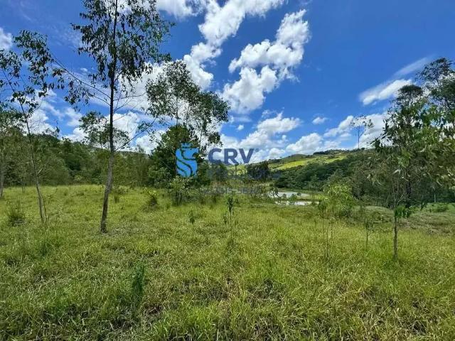Sítio e chácara venda em Região Geográfica Imediata de Londrina, Tamarana