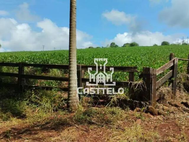 Sítio e chácara venda em Região Geográfica Imediata de Londrina, Tamarana