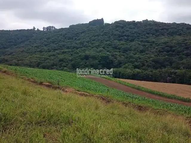 Sítio e chácara venda em Região Geográfica Imediata de Londrina, Tamarana