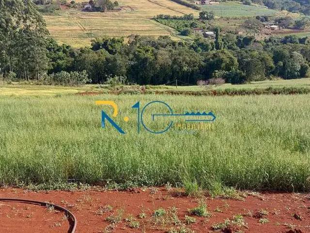 Sítio e chácara venda em Região Geográfica Imediata de Londrina, Londrina