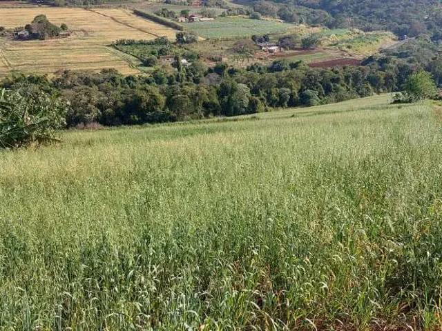 Sítio e chácara venda em Região Geográfica Imediata de Londrina, Londrina