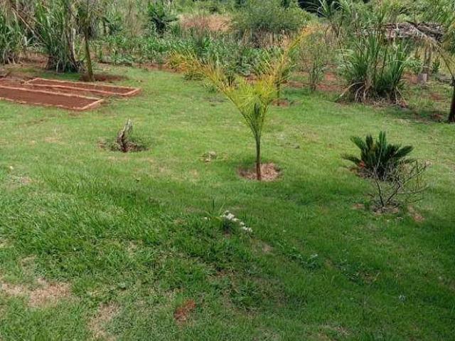 Sítio e chácara venda em Tamarana, Região Geográfica Intermediária de Londrina
