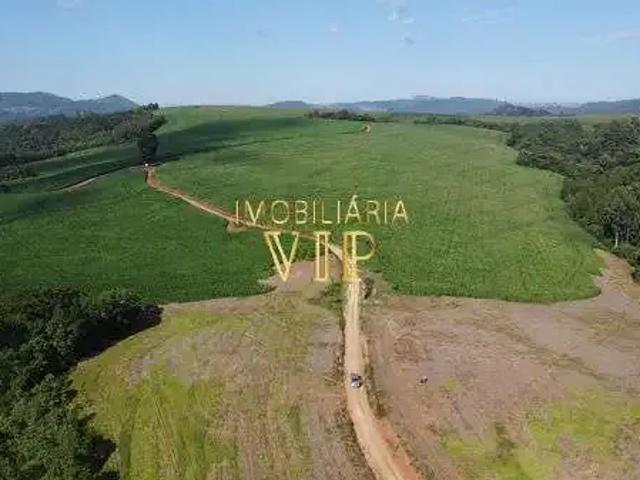 Sítio e chácara venda em Região Geográfica Imediata de Londrina, Tamarana