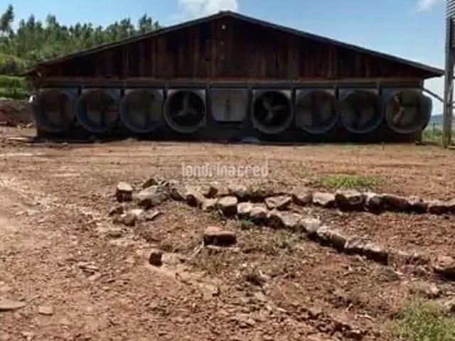 Sítio e chácara venda em Região Geográfica Imediata de Londrina, Tamarana