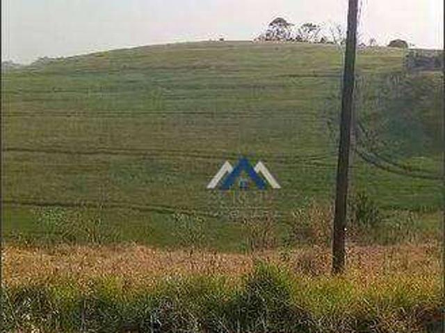 Sítio e chácara venda em Região Geográfica Imediata de Londrina, Tamarana