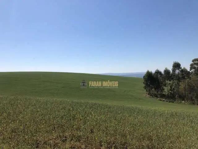 Sítio e chácara venda em Região Geográfica Imediata de Londrina, Tamarana
