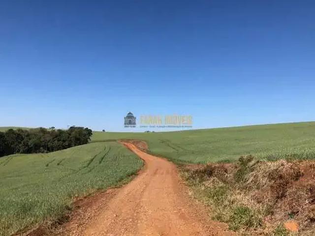 Sítio e chácara venda em Região Geográfica Imediata de Londrina, Tamarana