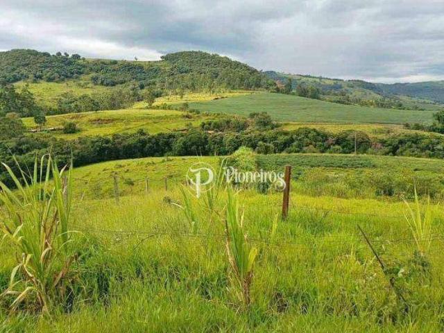 Sitio venda em Tamarana, Jardim Juny