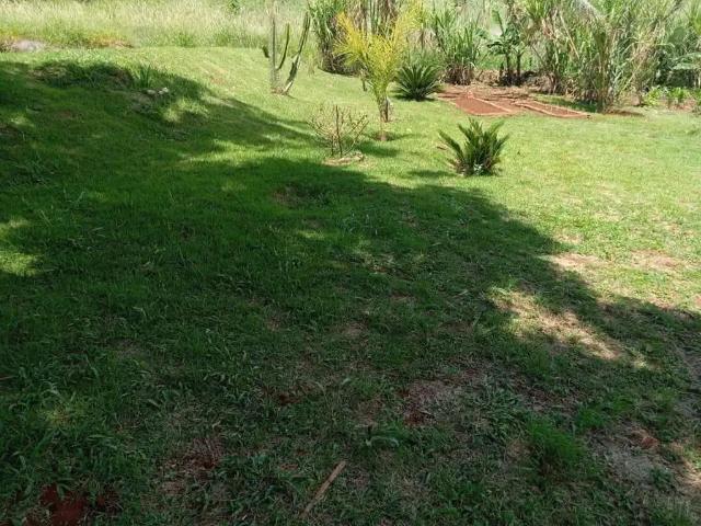 Sítio e chácara venda em Região Geográfica Imediata de Londrina, Tamarana