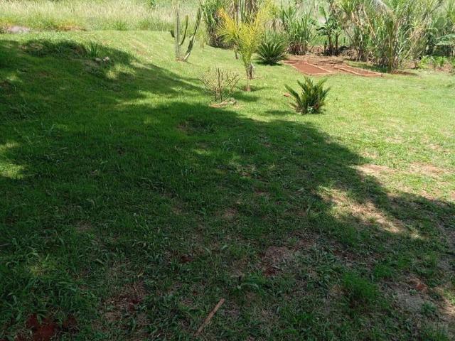 Sítio e chácara venda em Tamarana, Região Geográfica Intermediária de Londrina