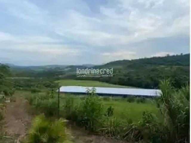 Sítio e chácara venda em Região Geográfica Imediata de Londrina, Tamarana
