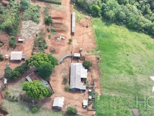 Sítio e chácara venda em Região Geográfica Imediata de Londrina, Tamarana