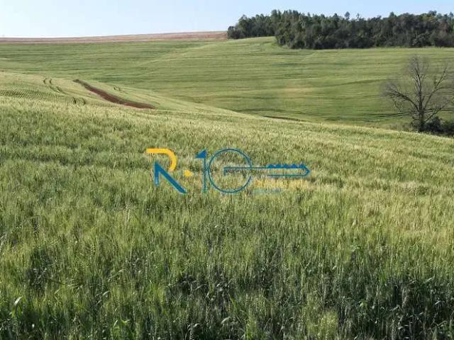 Sítio e chácara venda em Região Geográfica Imediata de Londrina, Tamarana