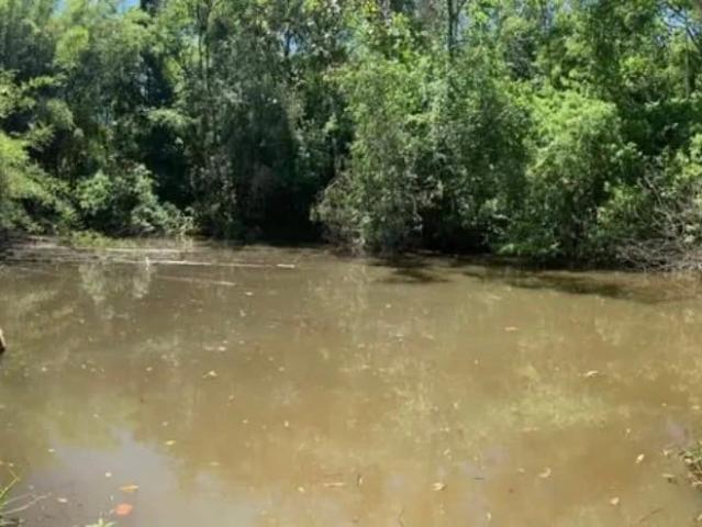 Sítio e chácara venda em Tamarana, Região Geográfica Intermediária de Londrina