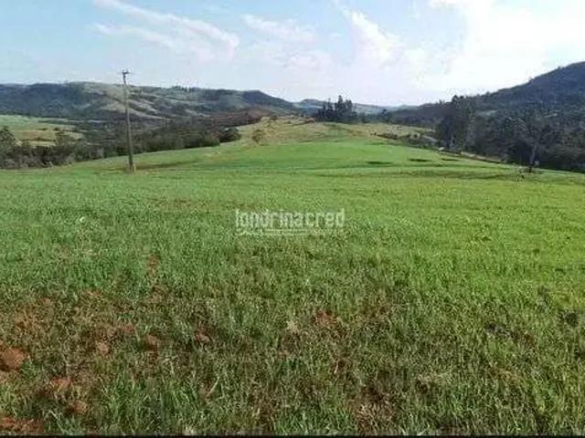 Sítio e chácara venda em Região Geográfica Imediata de Londrina, Tamarana