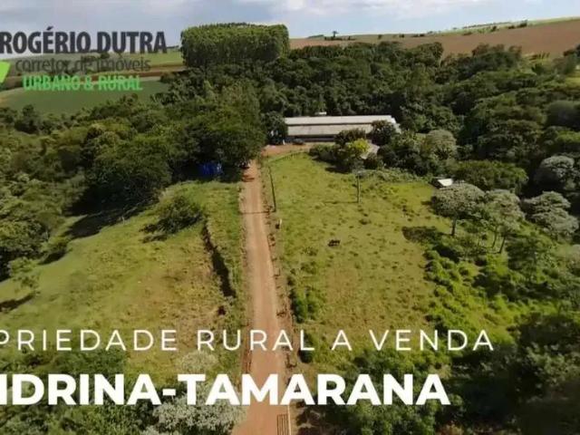 Sítio e chácara venda em Região Geográfica Imediata de Londrina, Tamarana