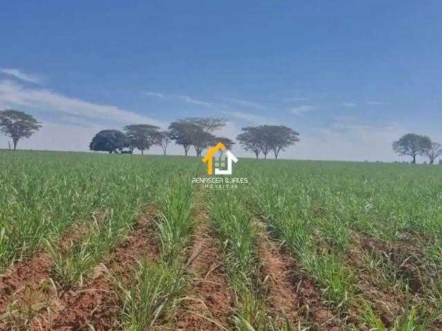 Sítio e chácara venda em Região Imediata de São José do Rio Preto, Região Metropolitana de São José do Rio Preto