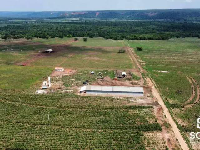 Sítio e chácara venda em Região Geográfica Imediata de Tangará da Serra, Tangará da Serra